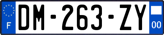 DM-263-ZY