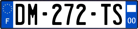DM-272-TS