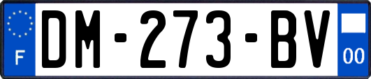 DM-273-BV