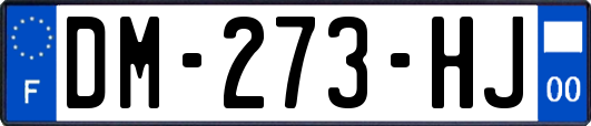 DM-273-HJ