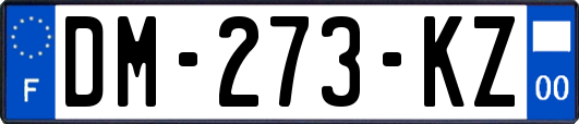 DM-273-KZ