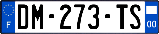 DM-273-TS