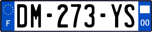 DM-273-YS