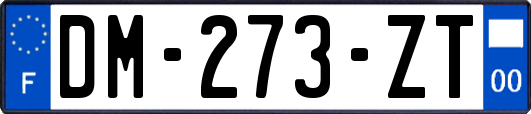 DM-273-ZT