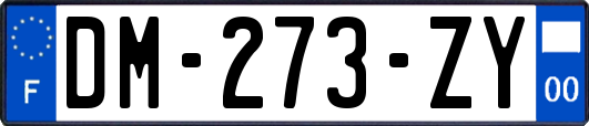 DM-273-ZY