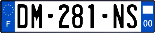 DM-281-NS