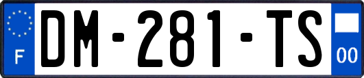 DM-281-TS