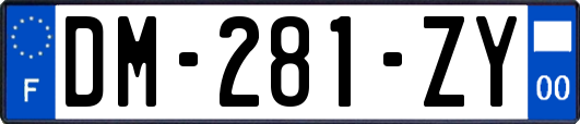 DM-281-ZY