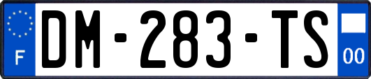 DM-283-TS