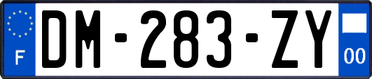 DM-283-ZY