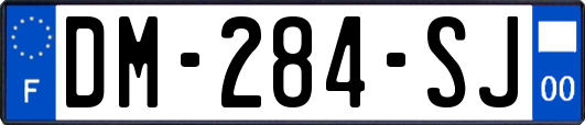DM-284-SJ