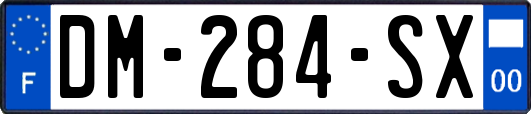 DM-284-SX