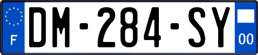 DM-284-SY