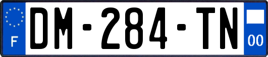 DM-284-TN