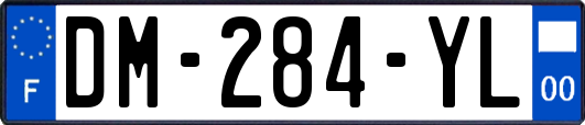 DM-284-YL