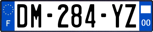 DM-284-YZ