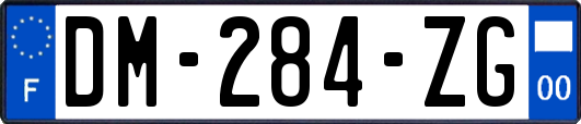 DM-284-ZG