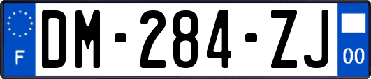 DM-284-ZJ