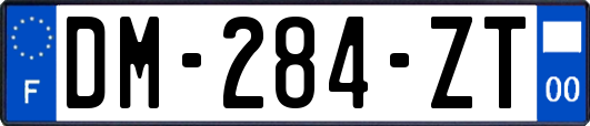 DM-284-ZT