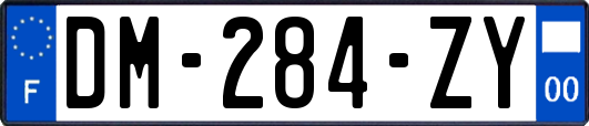 DM-284-ZY