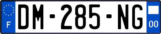 DM-285-NG