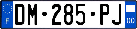 DM-285-PJ