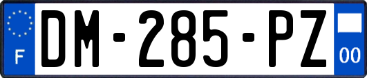 DM-285-PZ