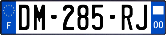 DM-285-RJ