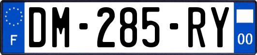 DM-285-RY