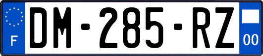 DM-285-RZ