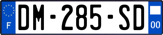 DM-285-SD