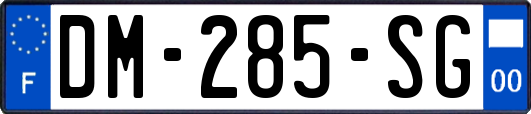 DM-285-SG