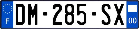 DM-285-SX