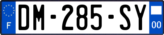 DM-285-SY