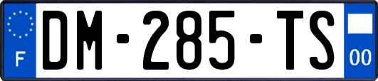 DM-285-TS