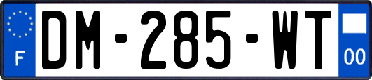 DM-285-WT