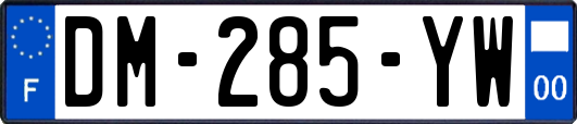 DM-285-YW