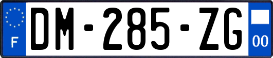 DM-285-ZG