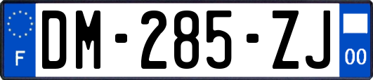 DM-285-ZJ