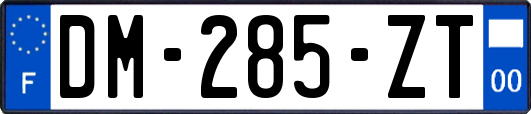 DM-285-ZT