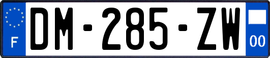 DM-285-ZW