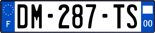 DM-287-TS