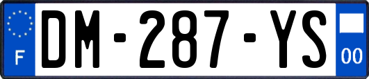 DM-287-YS