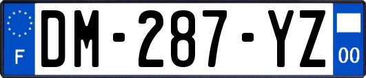 DM-287-YZ