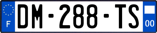 DM-288-TS