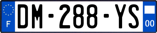 DM-288-YS