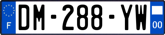 DM-288-YW