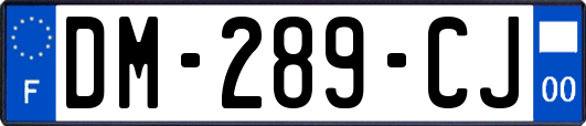 DM-289-CJ