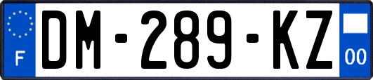 DM-289-KZ
