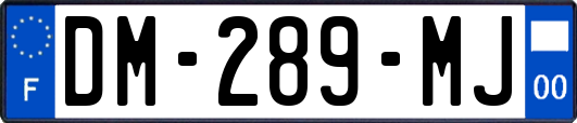 DM-289-MJ